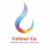 colourco.in